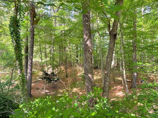 8 Sandy Ln, Pembroke, MA 02359 - view of tree filled area