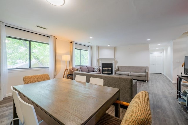 19 Burnham St Unit C2, Belmont, MA 02478 - dining area featuring a glass covered fireplace, wood finished floors, recessed lighting, and baseboards