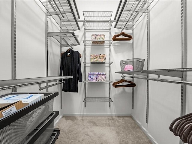 walk in closet with carpet