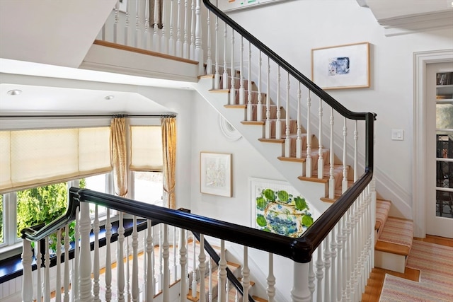 stairs with hardwood / wood-style floors