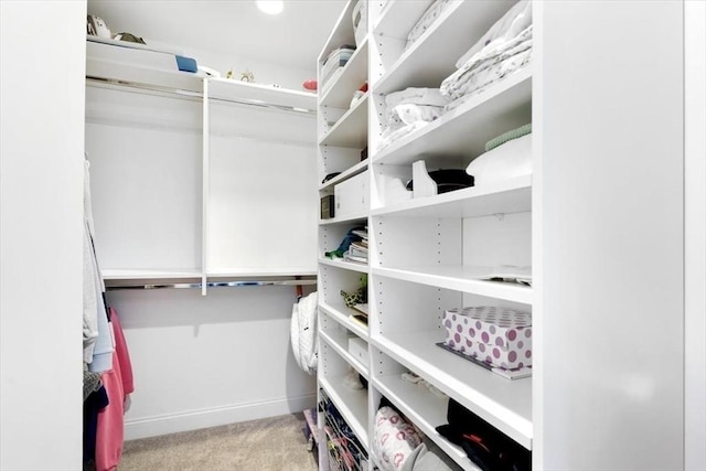 spacious closet with carpet flooring