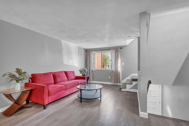 living room featuring wood-type flooring