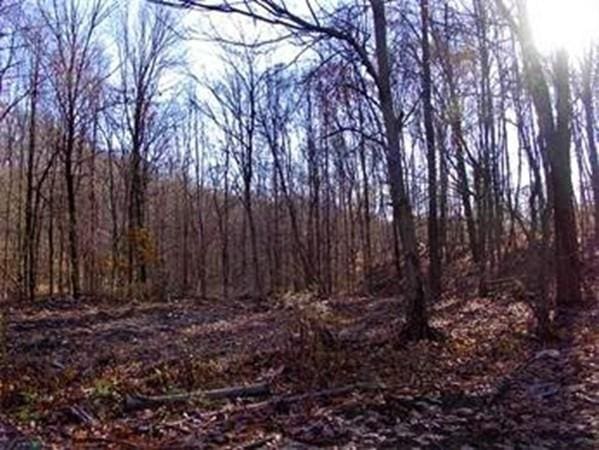 474 Mountain Rd, Wilbraham, MA 01095