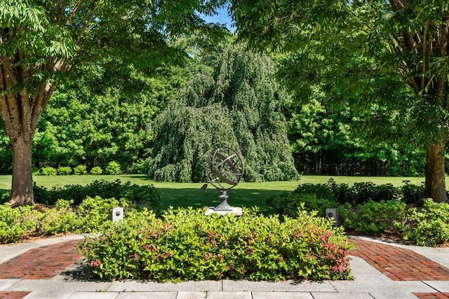 495 Hugh Cargill Rd, Concord, MA 01742 - surrounding community with a lawn