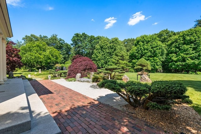 495 Hugh Cargill Rd, Concord, MA 01742 - view of patio