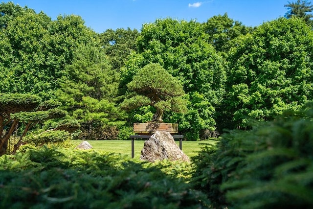 495 Hugh Cargill Rd, Concord, MA 01742 - surrounding community featuring a lawn