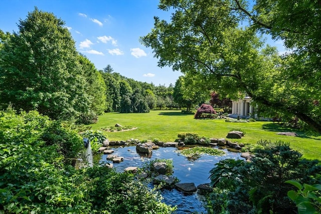 495 Hugh Cargill Rd, Concord, MA 01742 - view of yard with a forest view