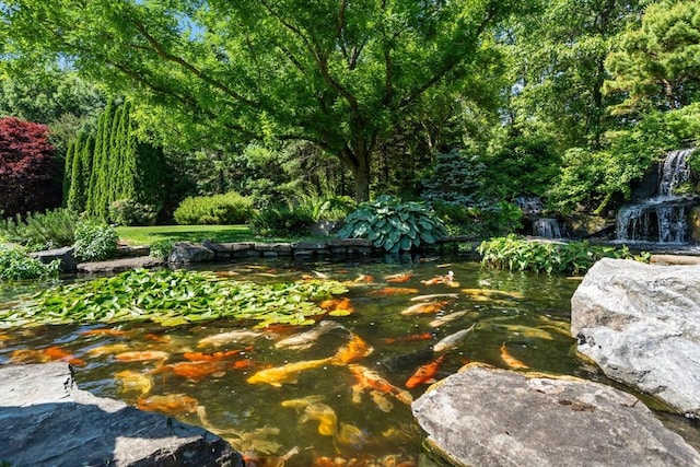 495 Hugh Cargill Rd, Concord, MA 01742 - view of yard with a garden pond