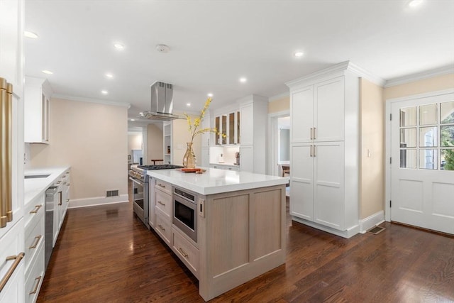 kitchen with a center island, white cabinetry, stainless steel appliances, island range hood, and crown molding