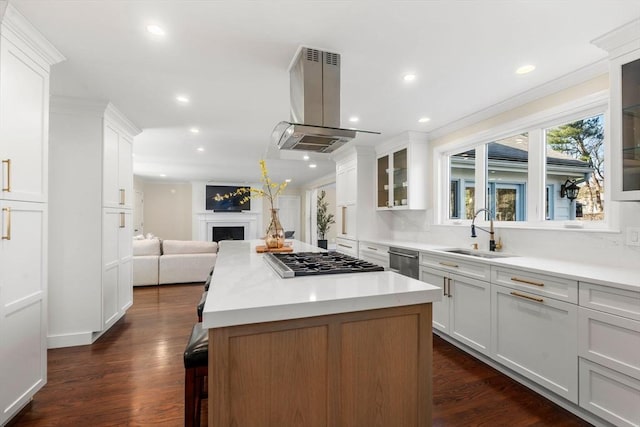 kitchen with open floor plan, appliances with stainless steel finishes, a fireplace, island range hood, and a sink