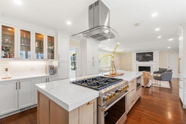 kitchen with tasteful backsplash, extractor fan, appliances with stainless steel finishes, a fireplace, and dark wood-style flooring