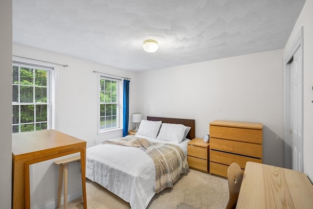 21 Butterfield Ln, Westford, MA 01886 - bedroom with light colored carpet, a closet, and a textured ceiling