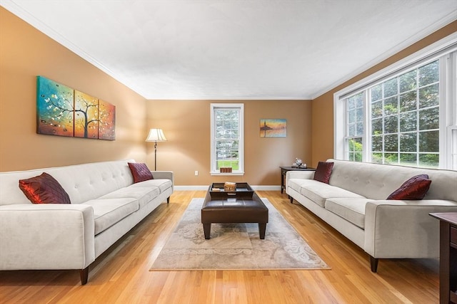21 Butterfield Ln, Westford, MA 01886 - living area with ornamental molding, plenty of natural light, light wood-type flooring, and baseboards