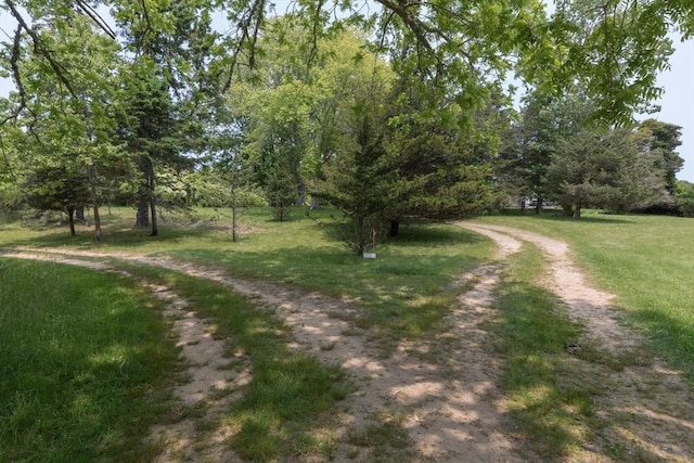 40 Scotchmans Ln, West Tisbury, MA 02575 - view of road