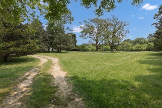 40 Scotchmans Ln, West Tisbury, MA 02575 - view of street