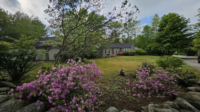 view of grassy yard