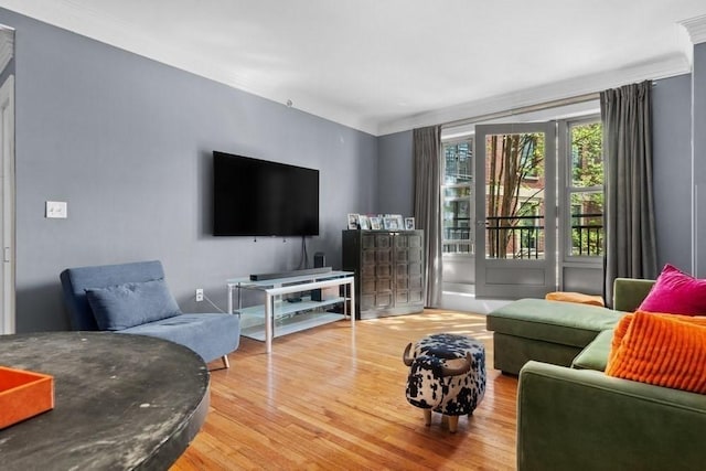 living area featuring ornamental molding and wood finished floors