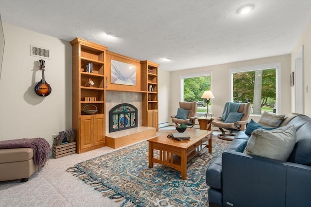 67 Flanagan Dr, Framingham, MA 01701 - carpeted living area featuring baseboard heating
