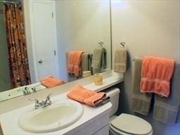 bathroom featuring vanity, toilet, and walk in shower