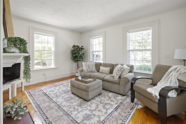 185 Woodland St, Natick, MA 01760 - living room featuring healthy amount of natural light, wood finished floors, crown molding, a textured ceiling, and a fireplace