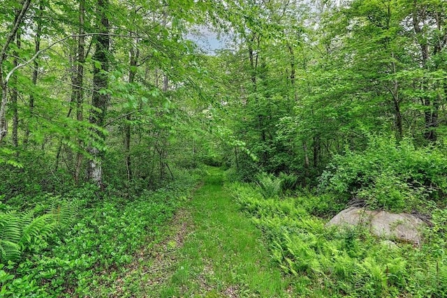 1175 Main Rd, Westport, MA 02790 - view of tree filled area
