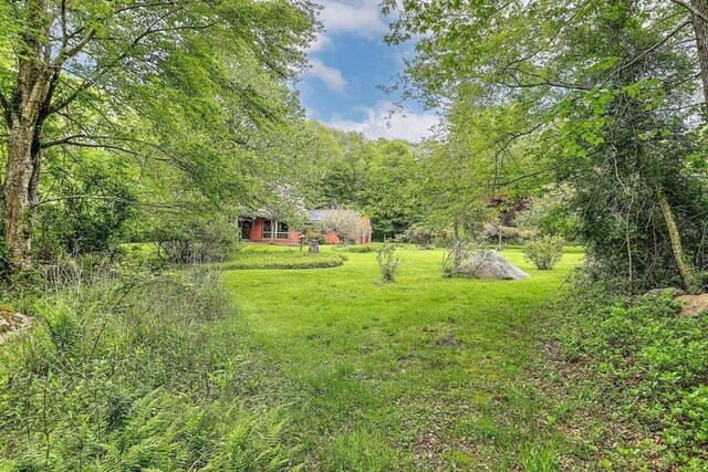 1175 Main Rd, Westport, MA 02790 - view of grassy yard with a wooded view