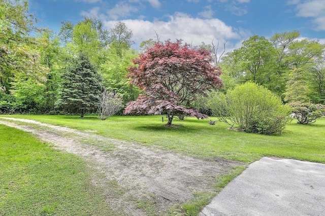 1175 Main Rd, Westport, MA 02790 - view of community with a yard