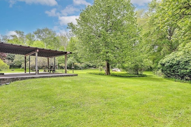 1175 Main Rd, Westport, MA 02790 - view of green lawn