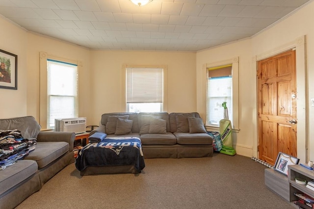 carpeted living room featuring a wealth of natural light