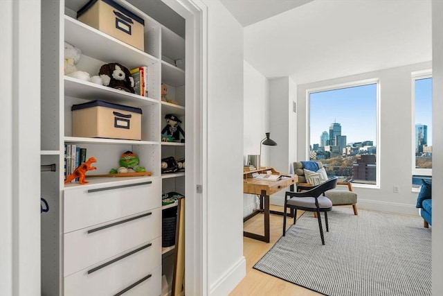 office area featuring light hardwood / wood-style floors