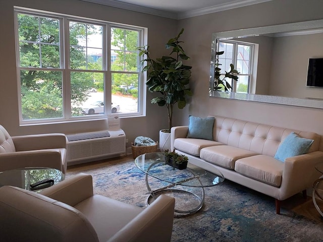 21 Totman St Unit 306, Quincy, MA 02169 - living room featuring ornamental molding and an AC wall unit