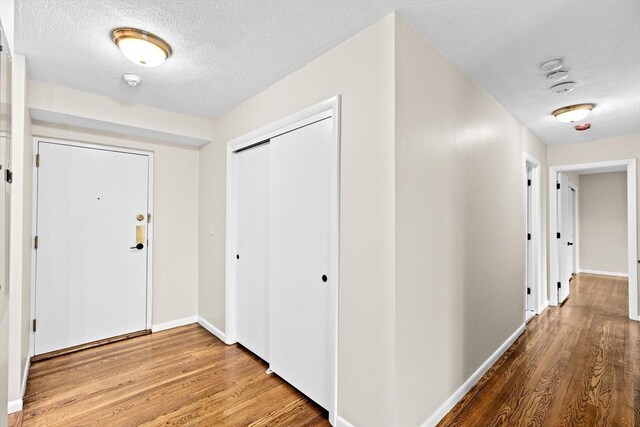 41 Centre Unit 208, Brookline, MA 02446 - hallway featuring wood finished floors, a textured ceiling, and baseboards