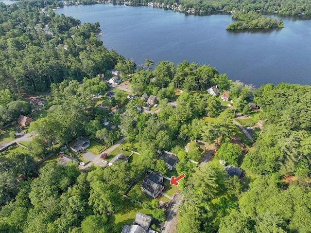 21 Beechwood Ave, Pembroke, MA 02359 - aerial overview of property's location featuring a large body of water and a forest