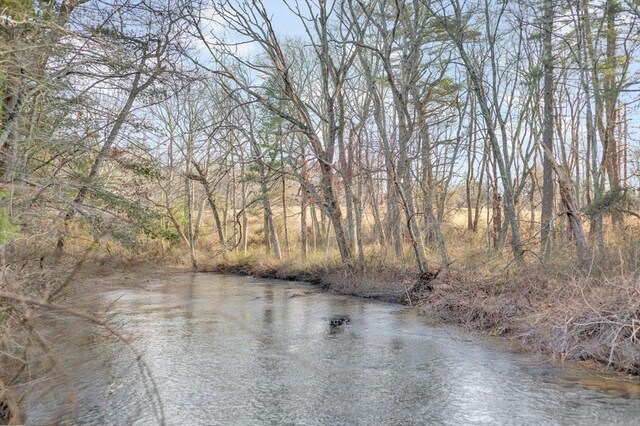 property view of water featuring a view of trees