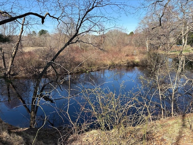 29 Willow Pond Cir Unit 29, Medway, MA 02053 - view of water feature