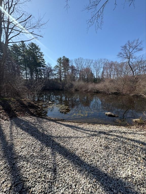 29 Willow Pond Cir Unit 29, Medway, MA 02053 - property view of water