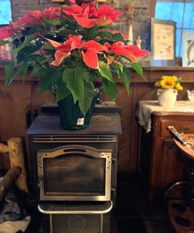 interior details featuring a wood stove