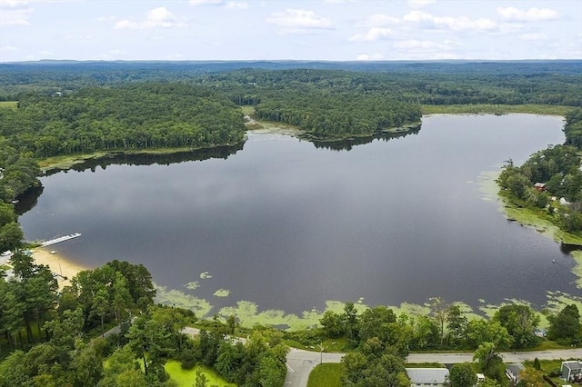 25 Laurel Rd, Littleton, MA 01460