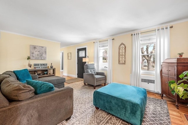 living room featuring hardwood / wood-style flooring, a wealth of natural light, radiator, and ornamental molding