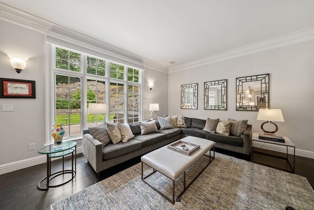 43 Bristol Rd, Wellesley, MA 02481 - living area with dark wood-type flooring and crown molding
