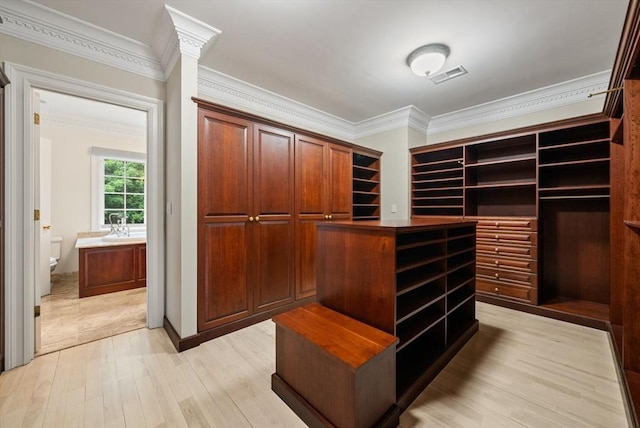 43 Bristol Rd, Wellesley, MA 02481 - walk in closet with light wood-style floors