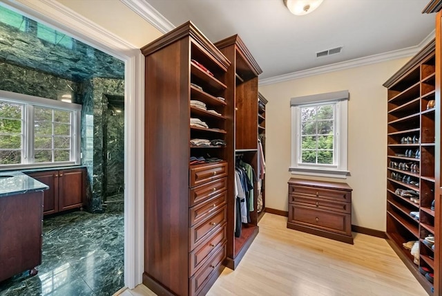 43 Bristol Rd, Wellesley, MA 02481 - walk in closet featuring light wood-type flooring