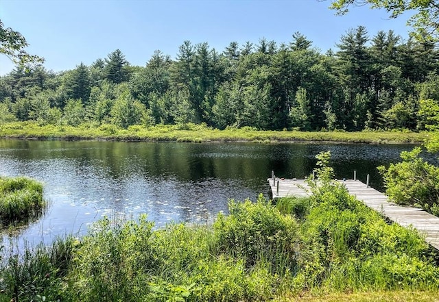 5 Maguire Rd, Ashburnham, MA 01430 - water view featuring a dock