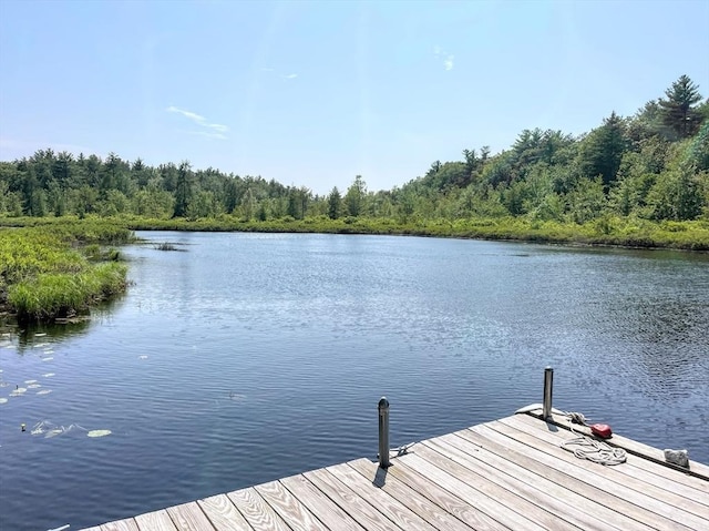5 Maguire Rd, Ashburnham, MA 01430 - dock featuring a water view and a forest view