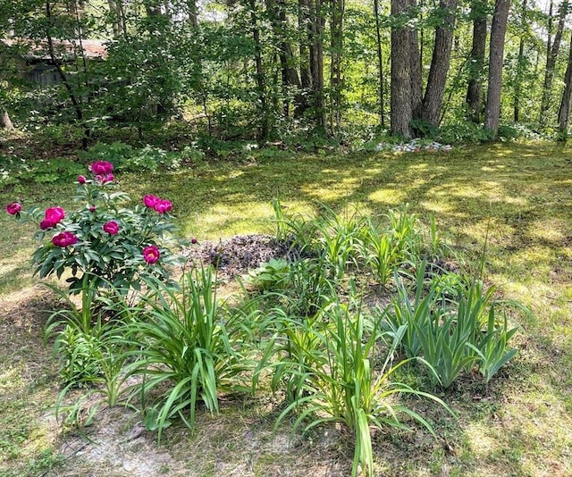 5 Maguire Rd, Ashburnham, MA 01430 - view of green lawn