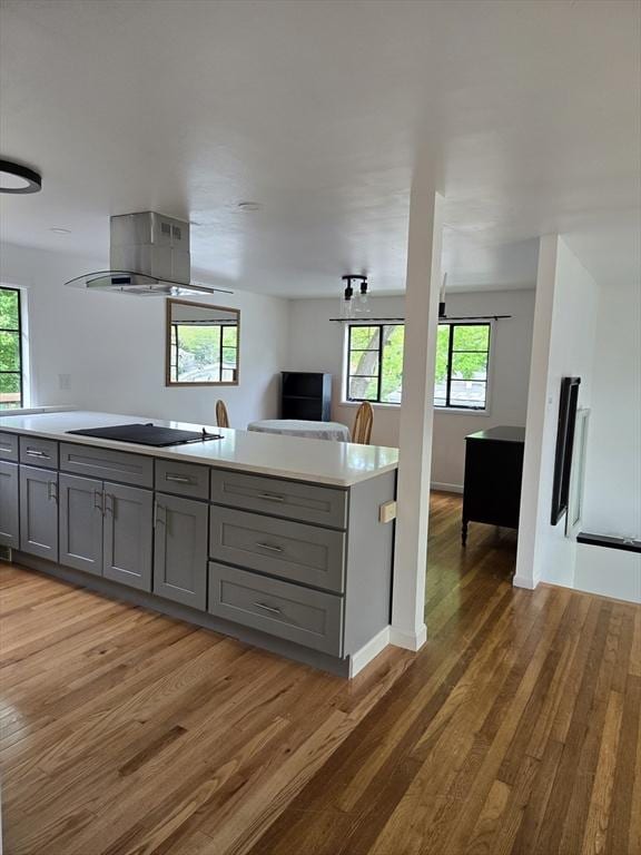 30 Leighton Rd, Boston, MA 02136 - kitchen with gray cabinets, black electric stovetop, island range hood, wood finished floors, and plenty of natural light