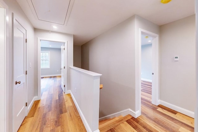 corridor featuring light hardwood / wood-style floors