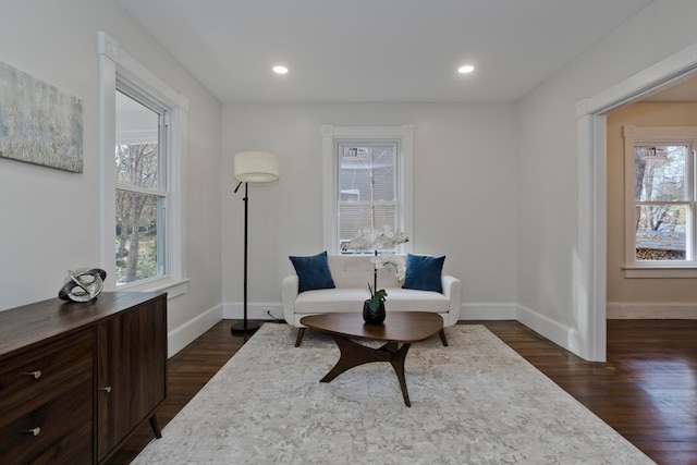 living area featuring dark hardwood / wood-style floors and a wealth of natural light