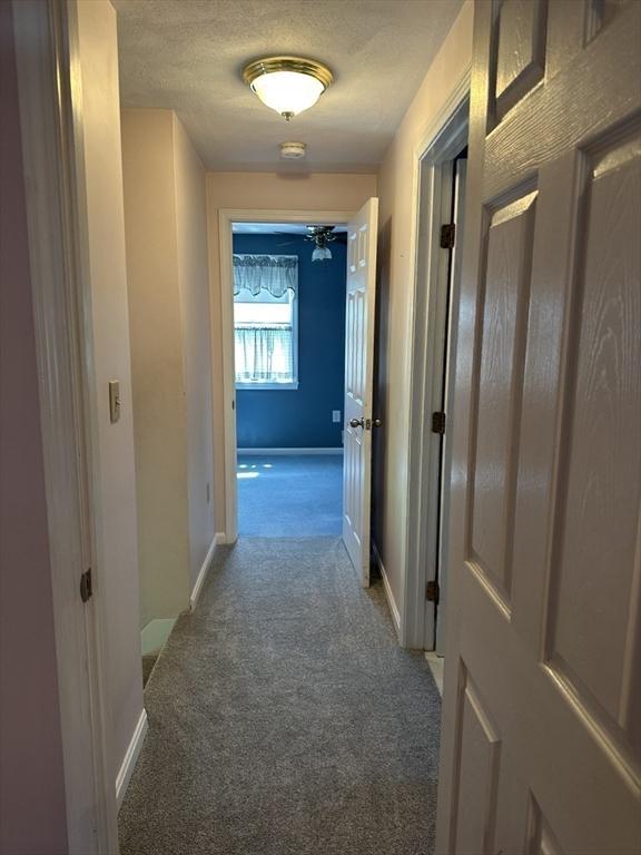 40 Elmwood Cir, Peabody, MA 01960 - corridor with carpet, baseboards, and a textured ceiling