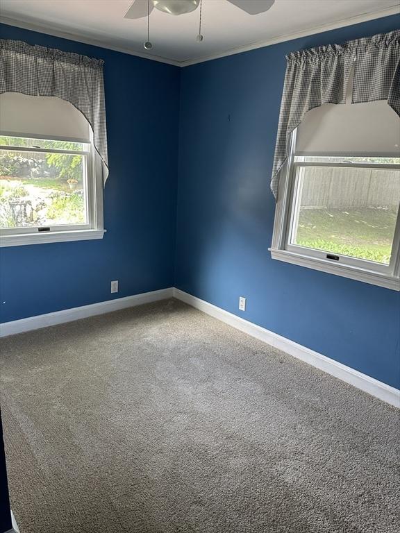 40 Elmwood Cir, Peabody, MA 01960 - unfurnished room with a ceiling fan, plenty of natural light, carpet floors, baseboards, and ornamental molding